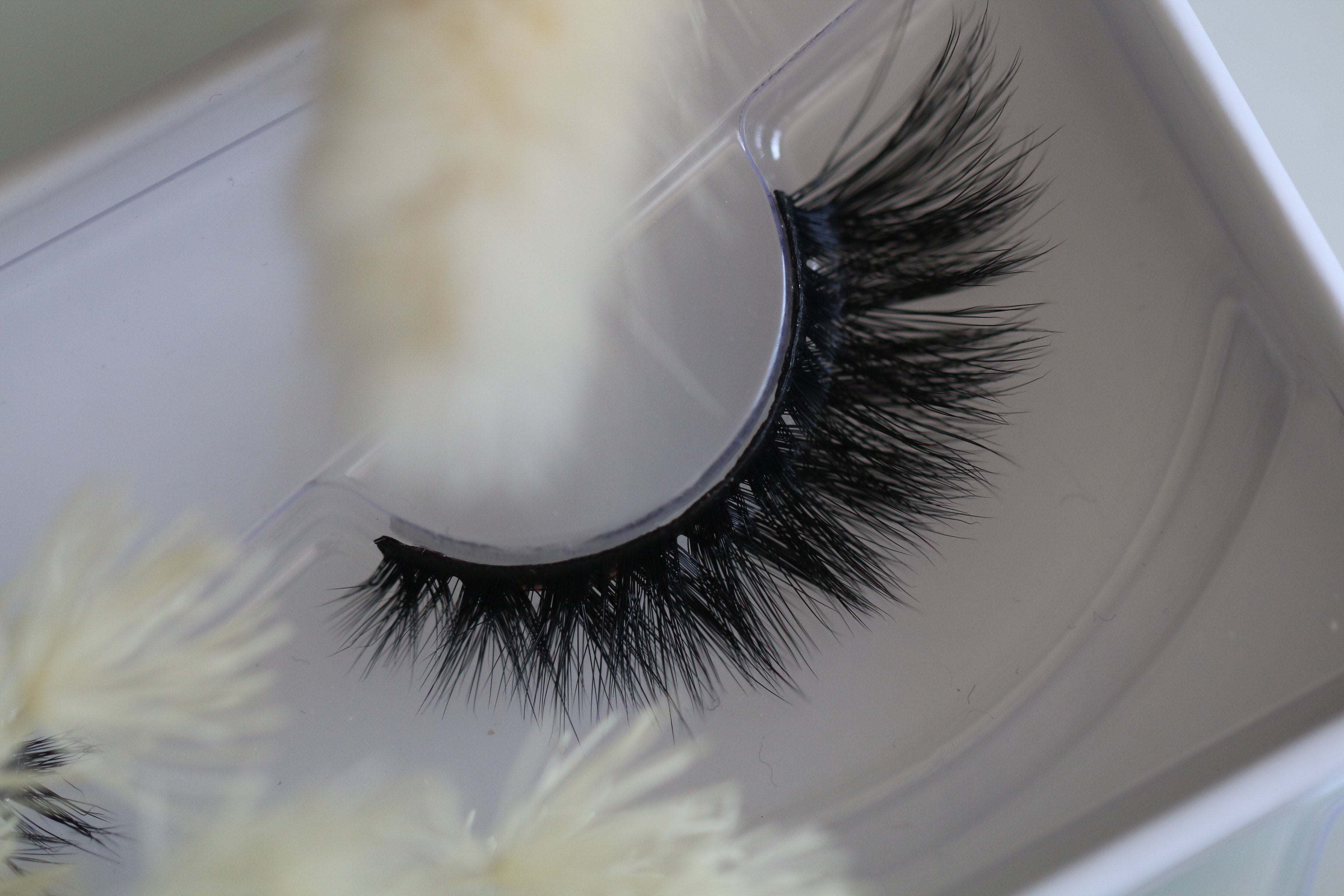 Cat eye lashes in white tray. Style The Boss